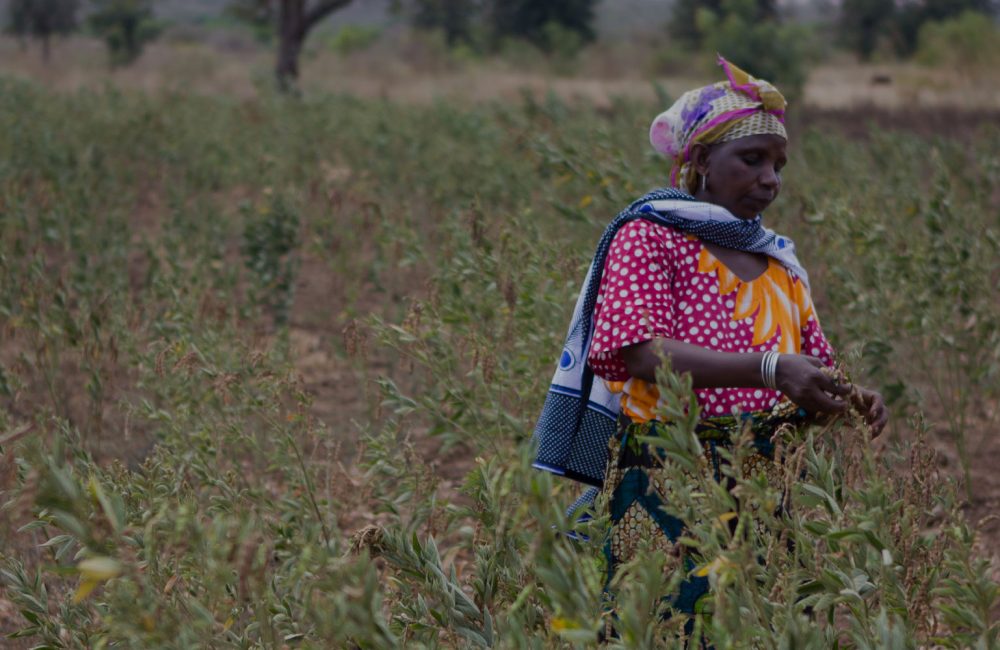 Woman in pink shirt stands in the middle of a field.