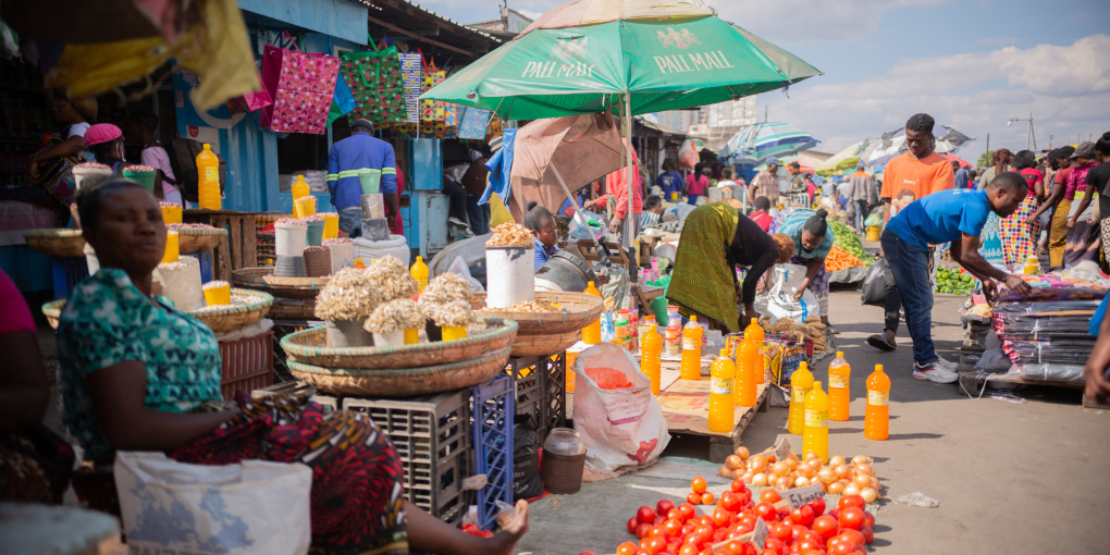 BII, NAPSA and Swedfund launch Growth Investment Partners Zambia with a ...